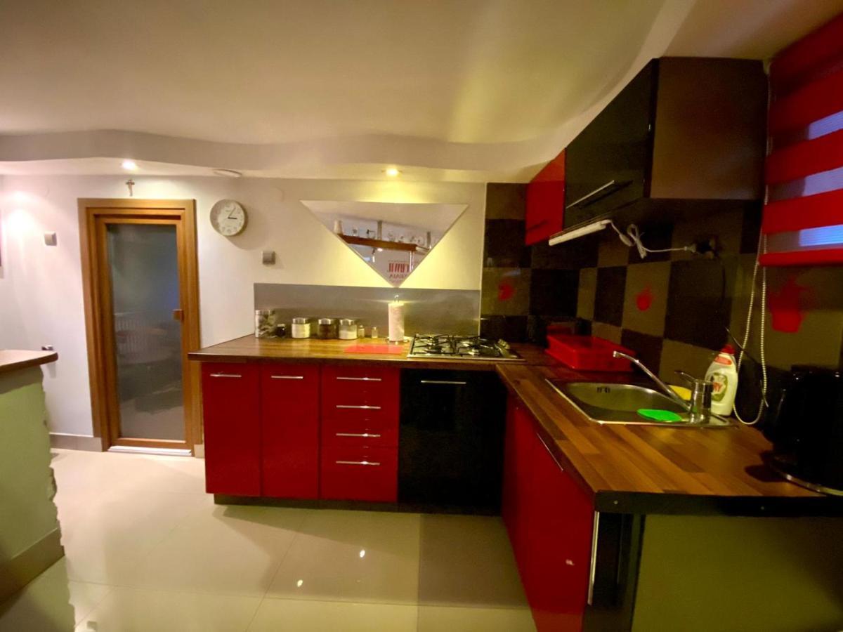 Studio Roxi Bachowice Dış mekan fotoğraf